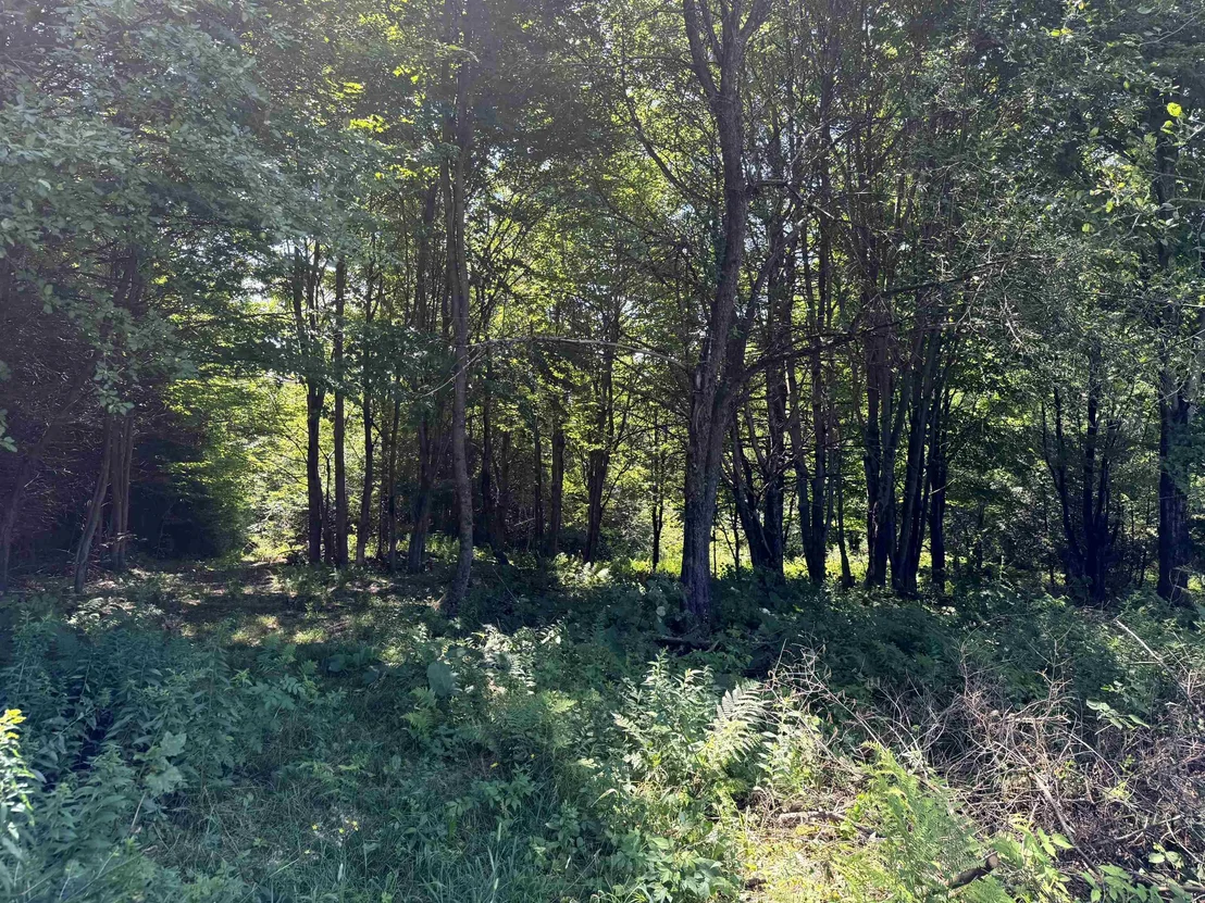 Photo of 3329 Bates Hill