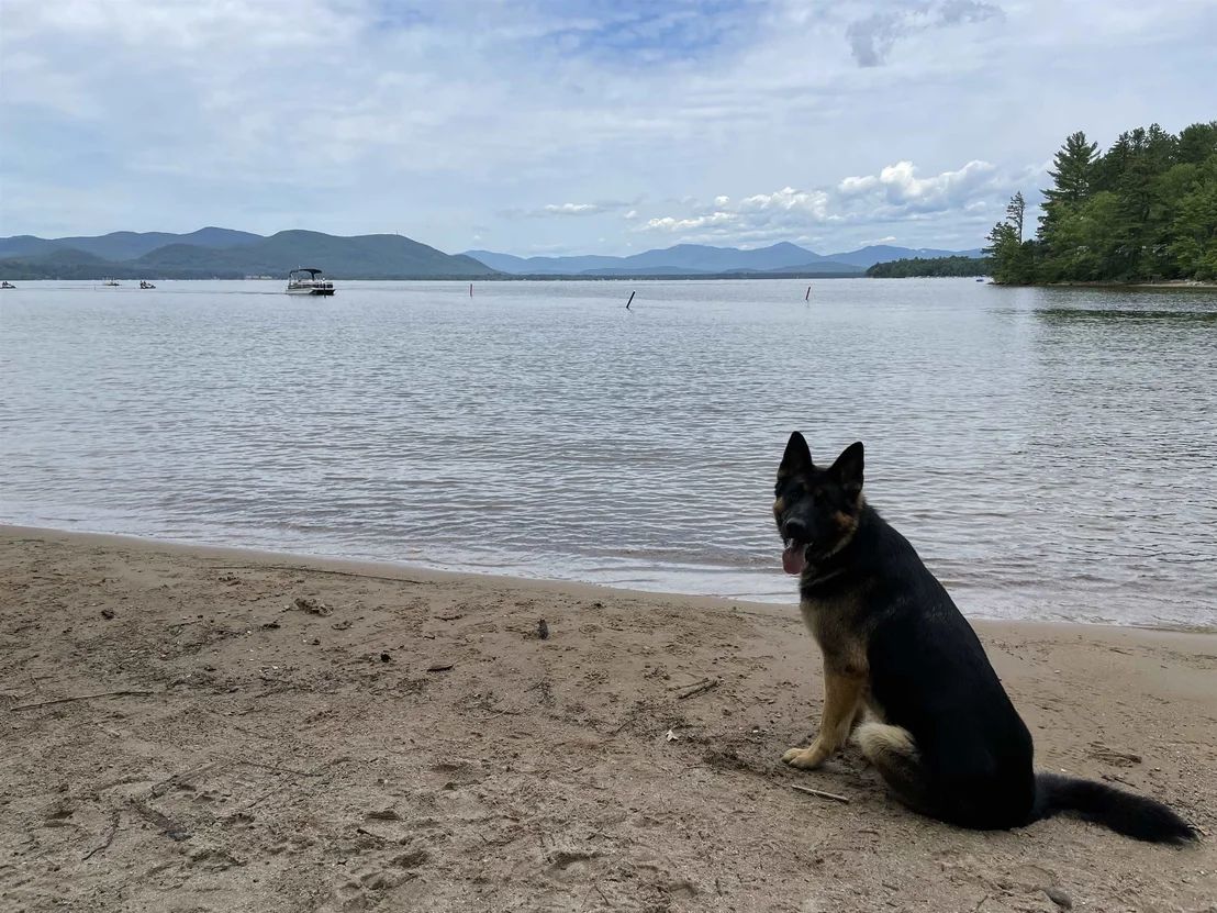Photo of 40 White Pond