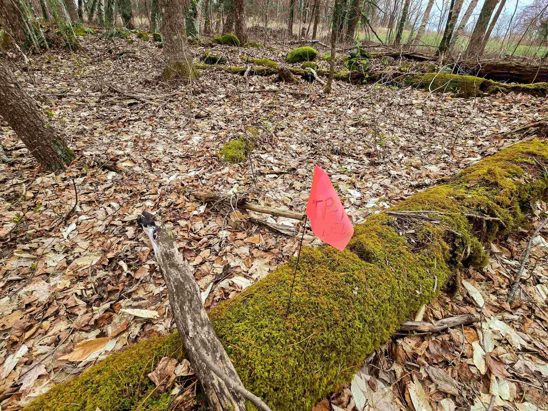 Photo of 765 Camp