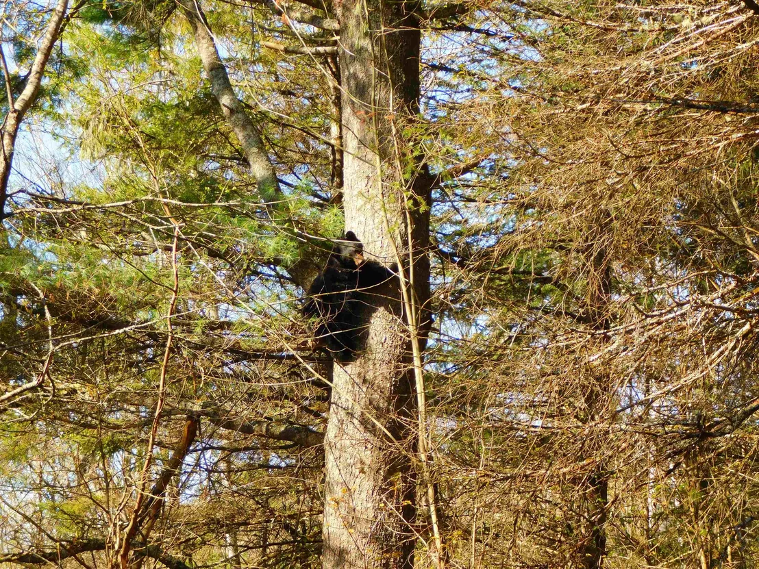 Photo of 0 Piper Hill