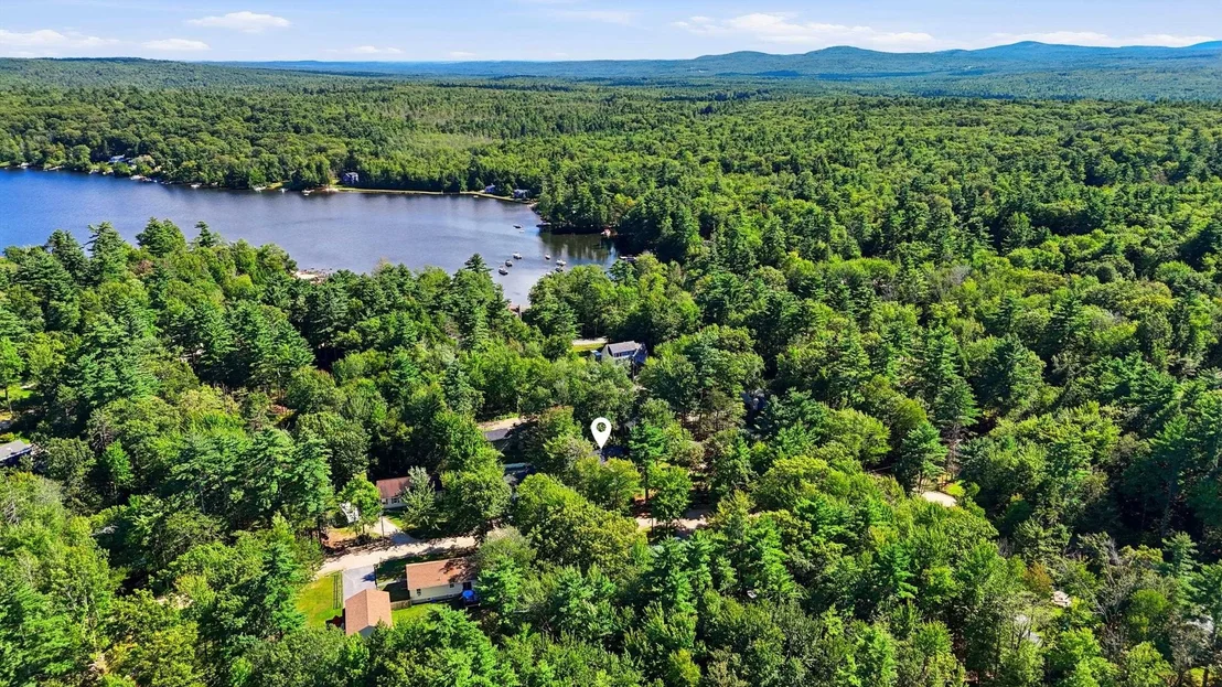 Photo of 12 Pine