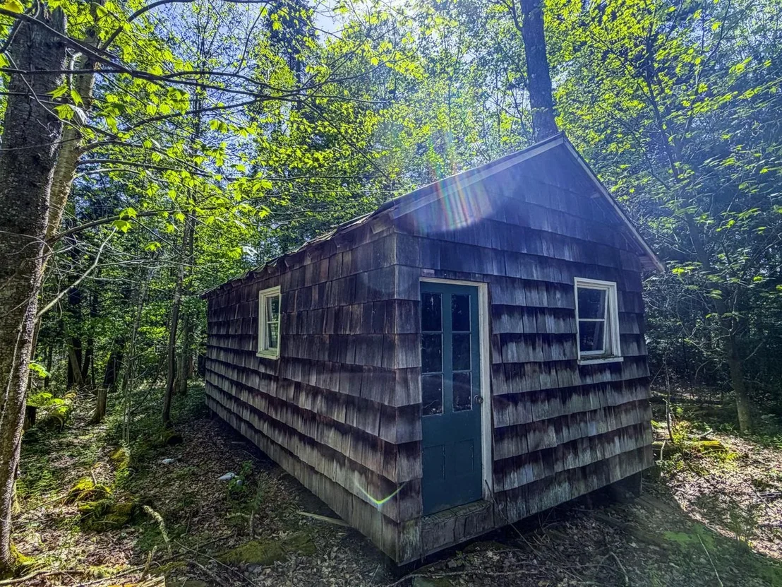 Photo of 297 Robinson