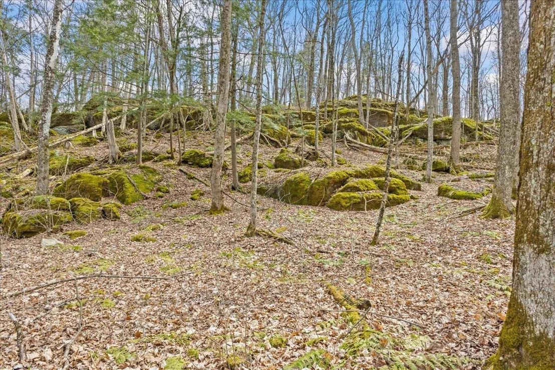 Photo of Unit LOT1 at 0 Bullock
