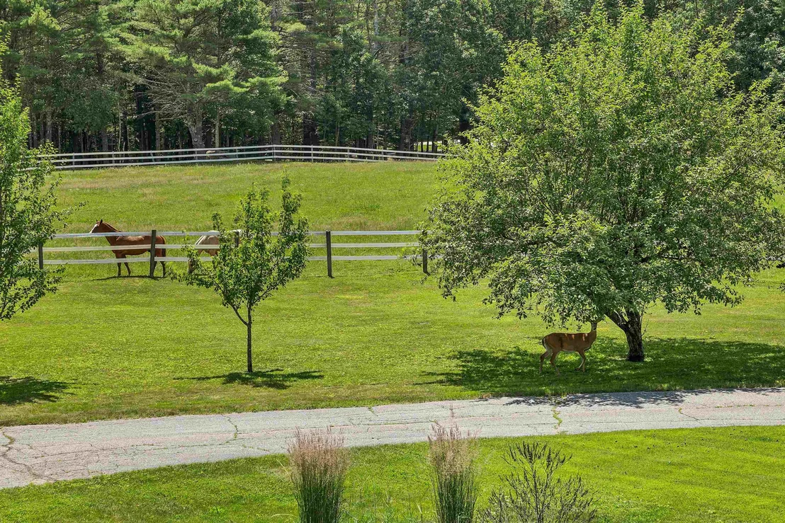 Photo of 108 Whitten Neck