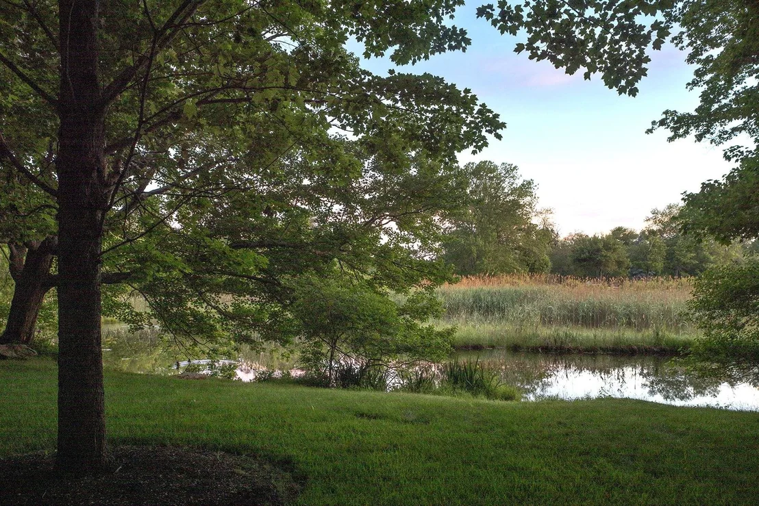 Photo of 15 Runnymede