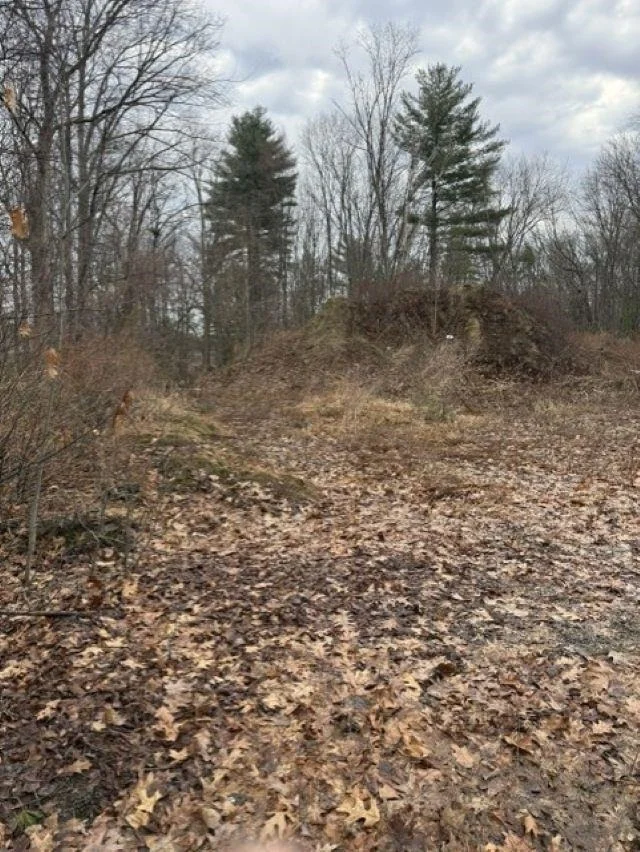 Photo of 2 Shore