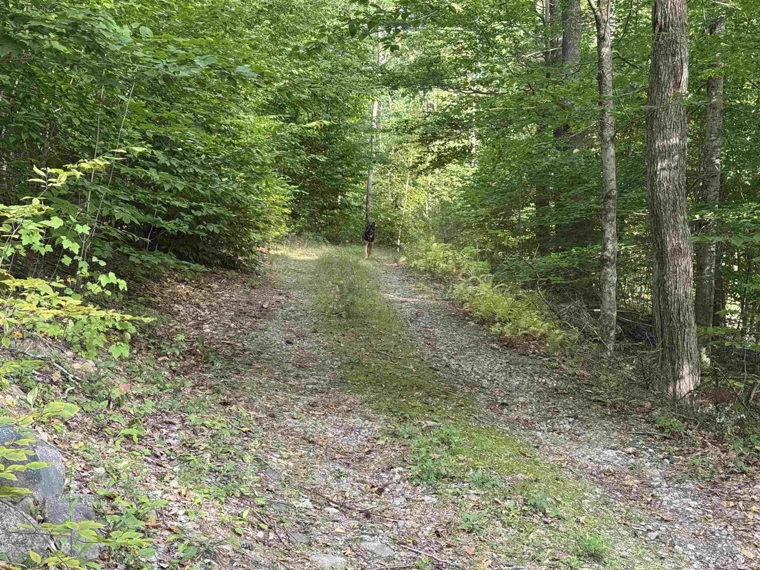 Photo of 26 Circuit