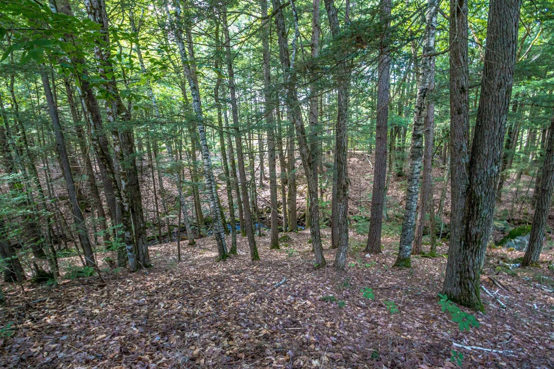 Photo of 141 Red Eagle Brook