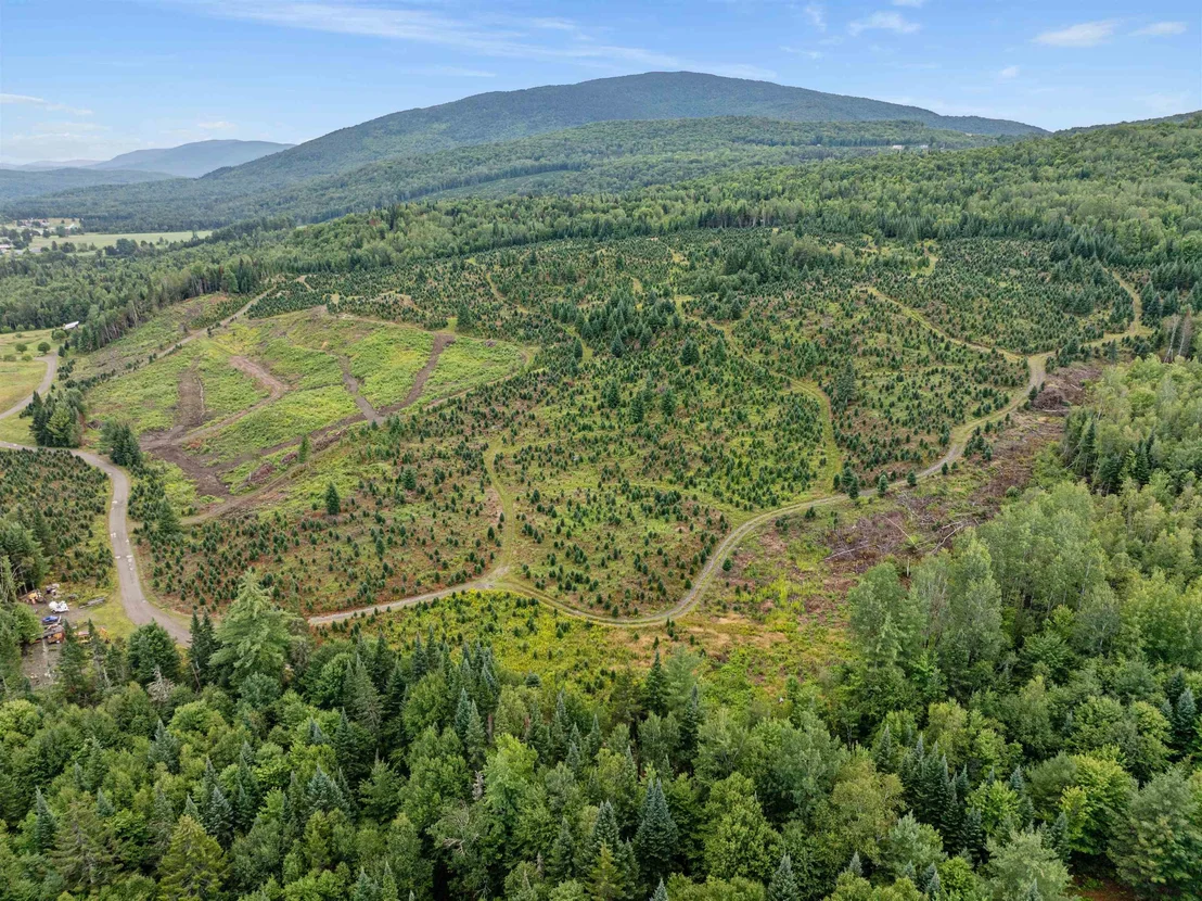 Photo of - Capon Brook