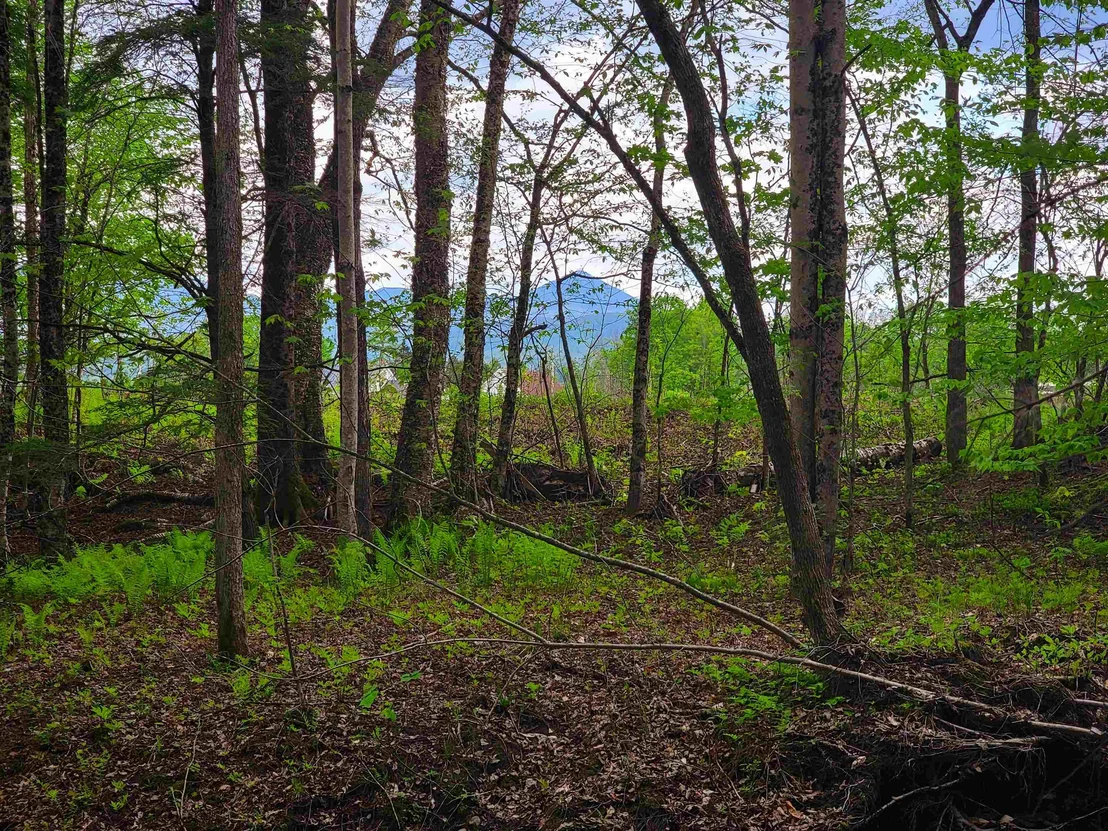 Photo of 167 High Meadow