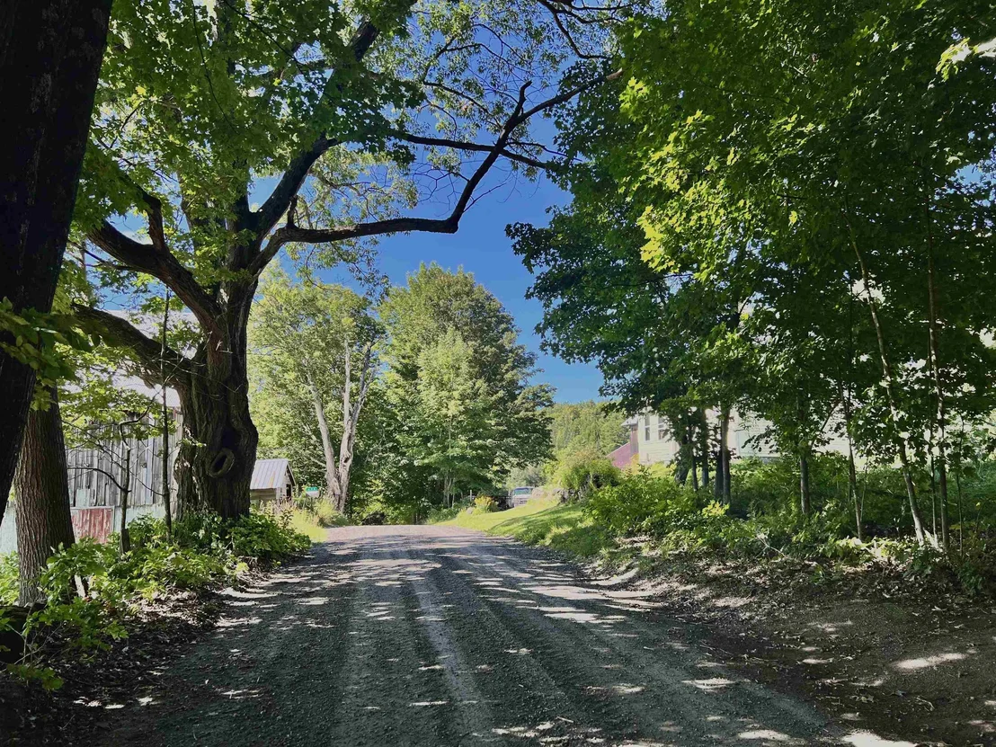 Photo of 575 Somers