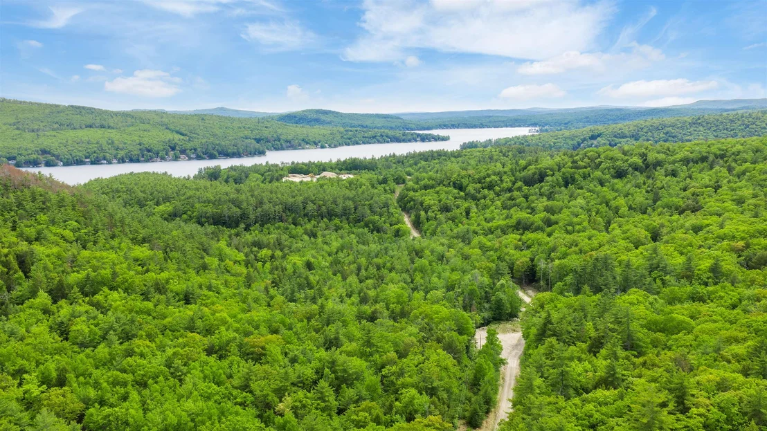 Photo of 00 Pine Point