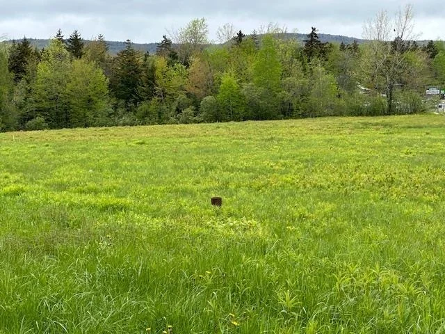 Photo of 309 VT Route 100