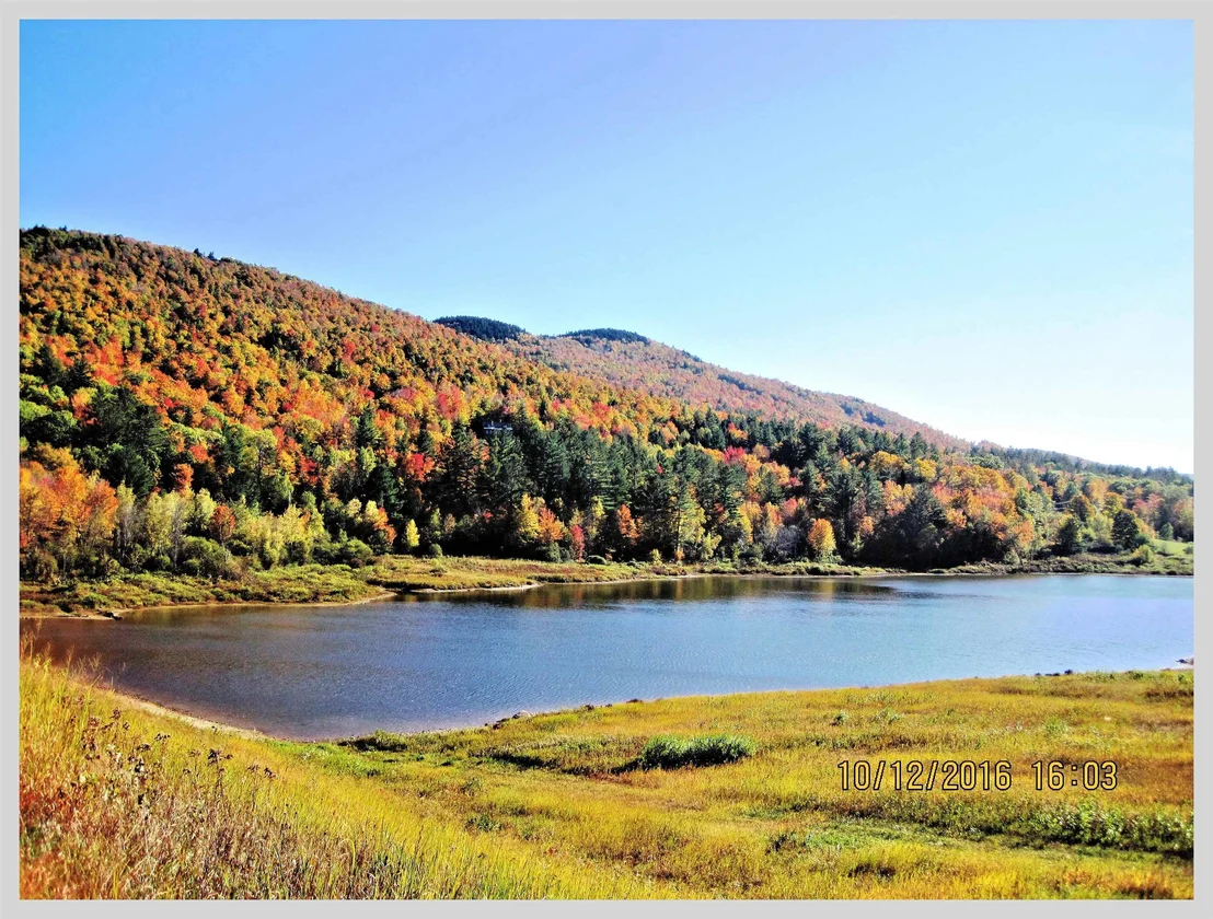 Photo of 206 River