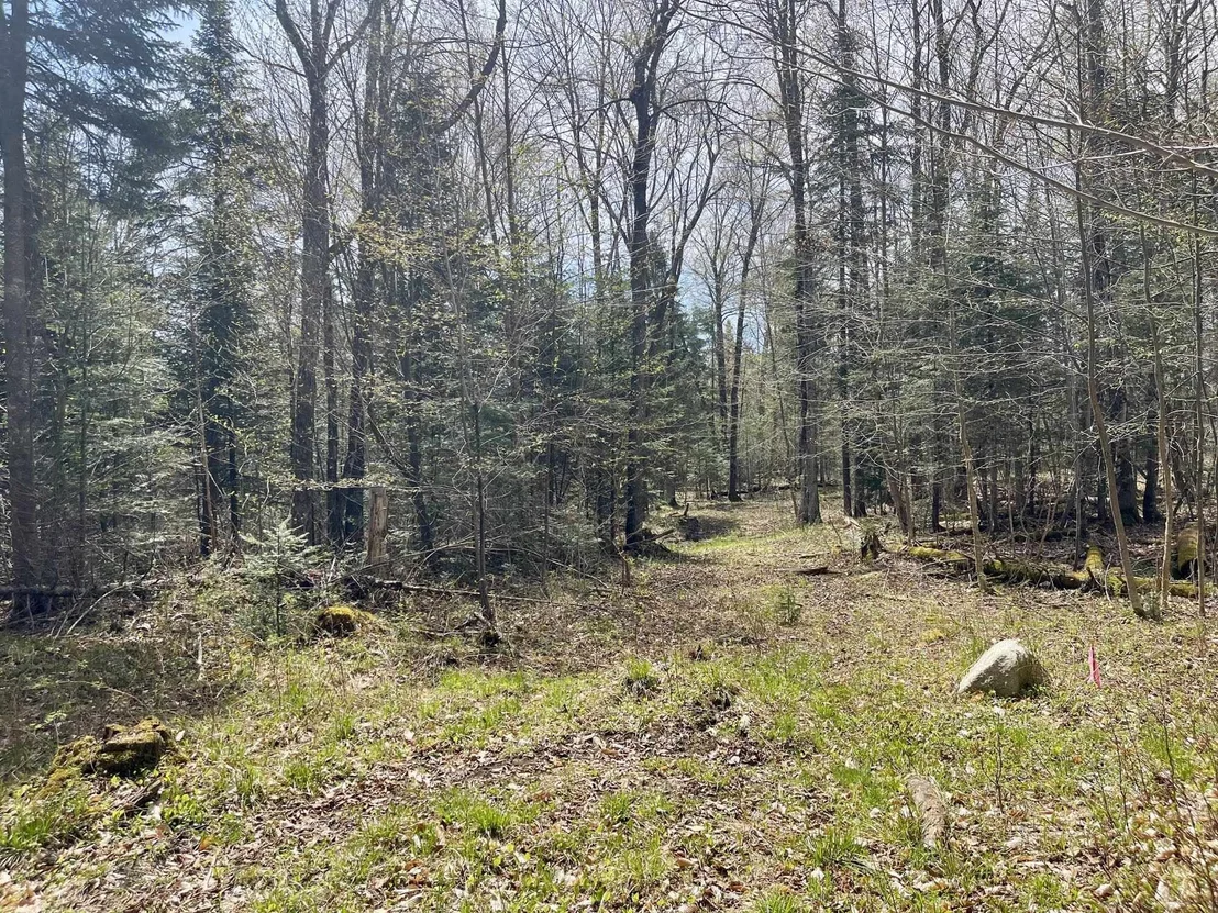 Photo of 00 Peene Hill