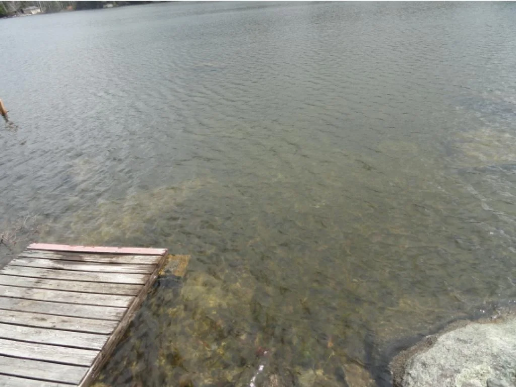Photo of 124 Rand Pond Road