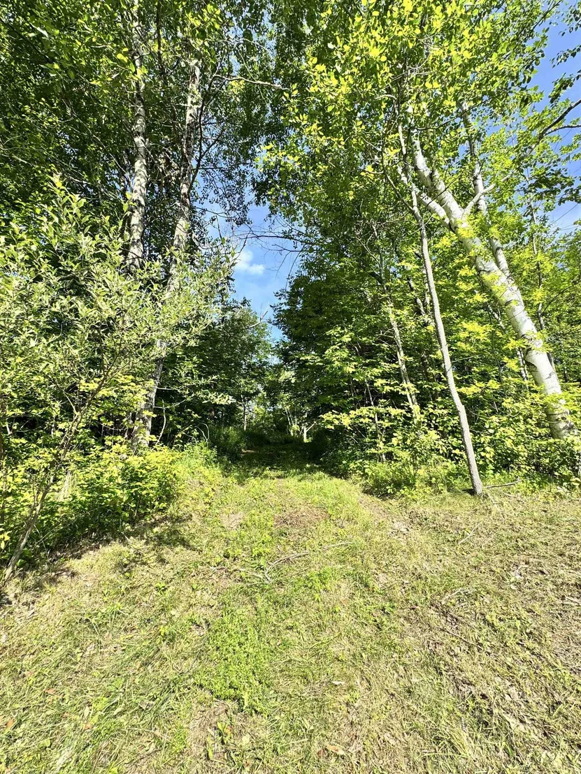 Photo of 2574 Chelsea
