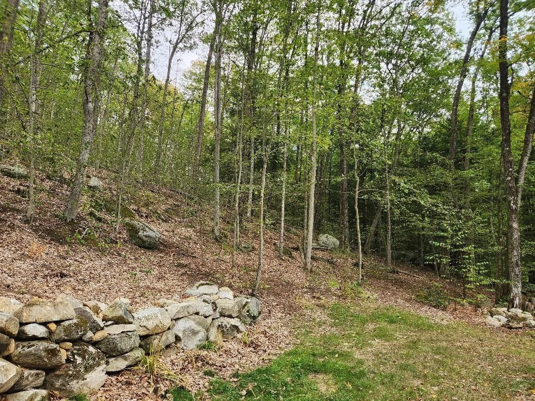 Photo of Lot 27-1 Old Walpole