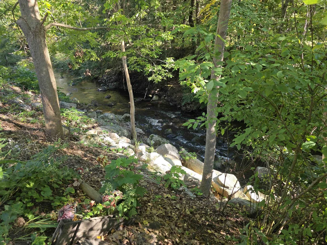 Photo of 672 Giddings