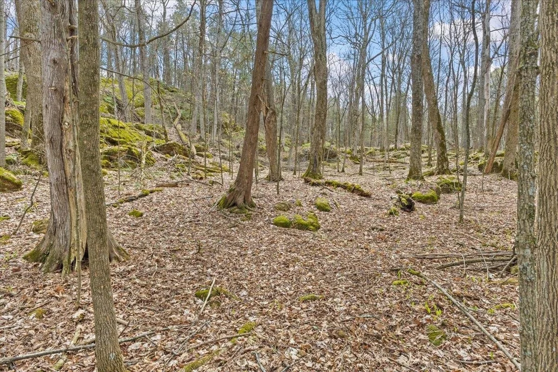 Photo of Unit LOT1 at 0 Bullock