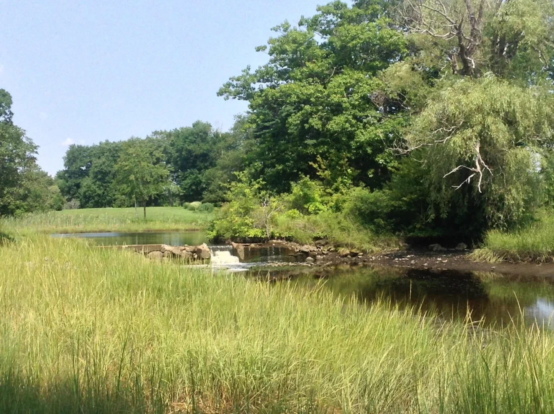 Photo of 12 Runnymede