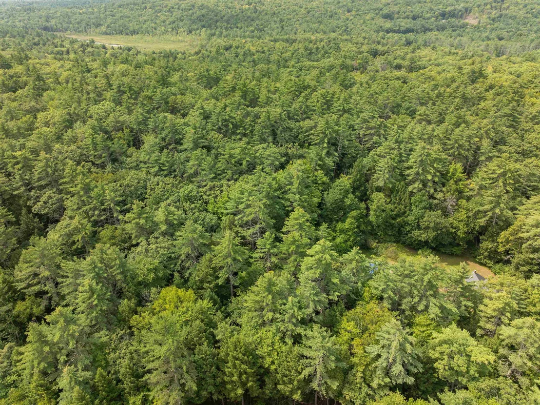 Photo of 32 Forest Pond