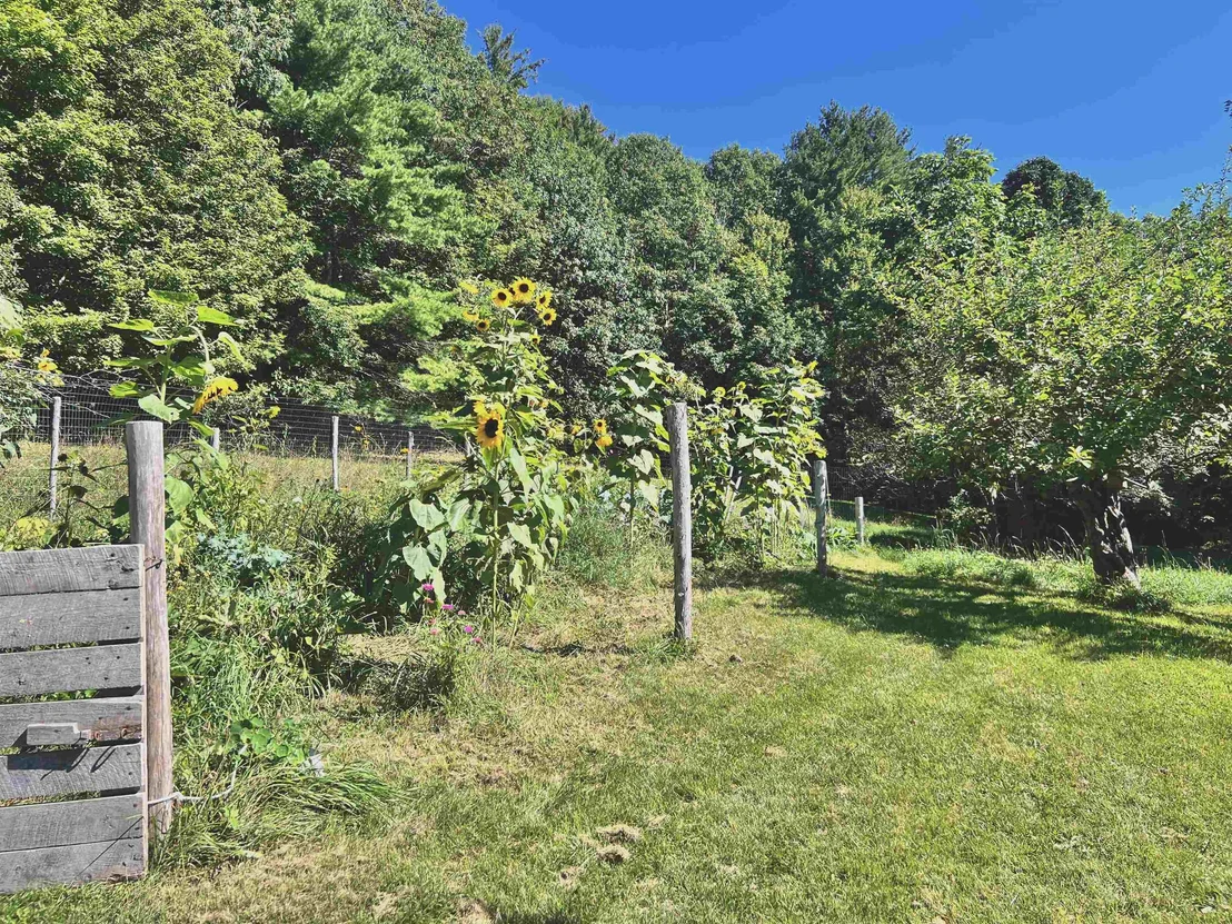Photo of 575 Somers