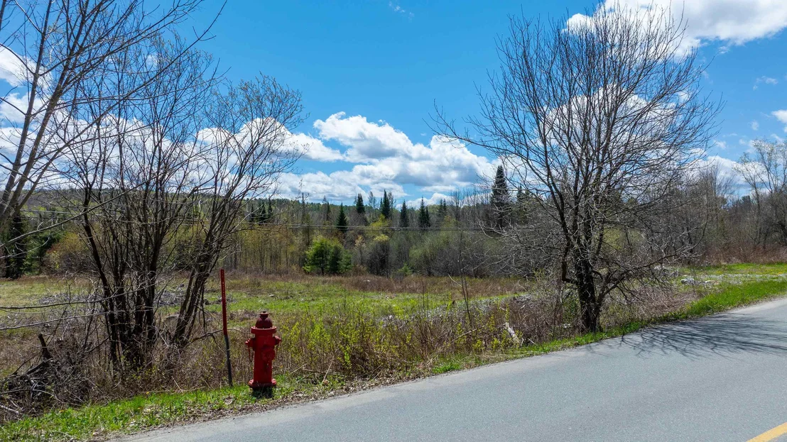 Photo of 491 Mount Eustis