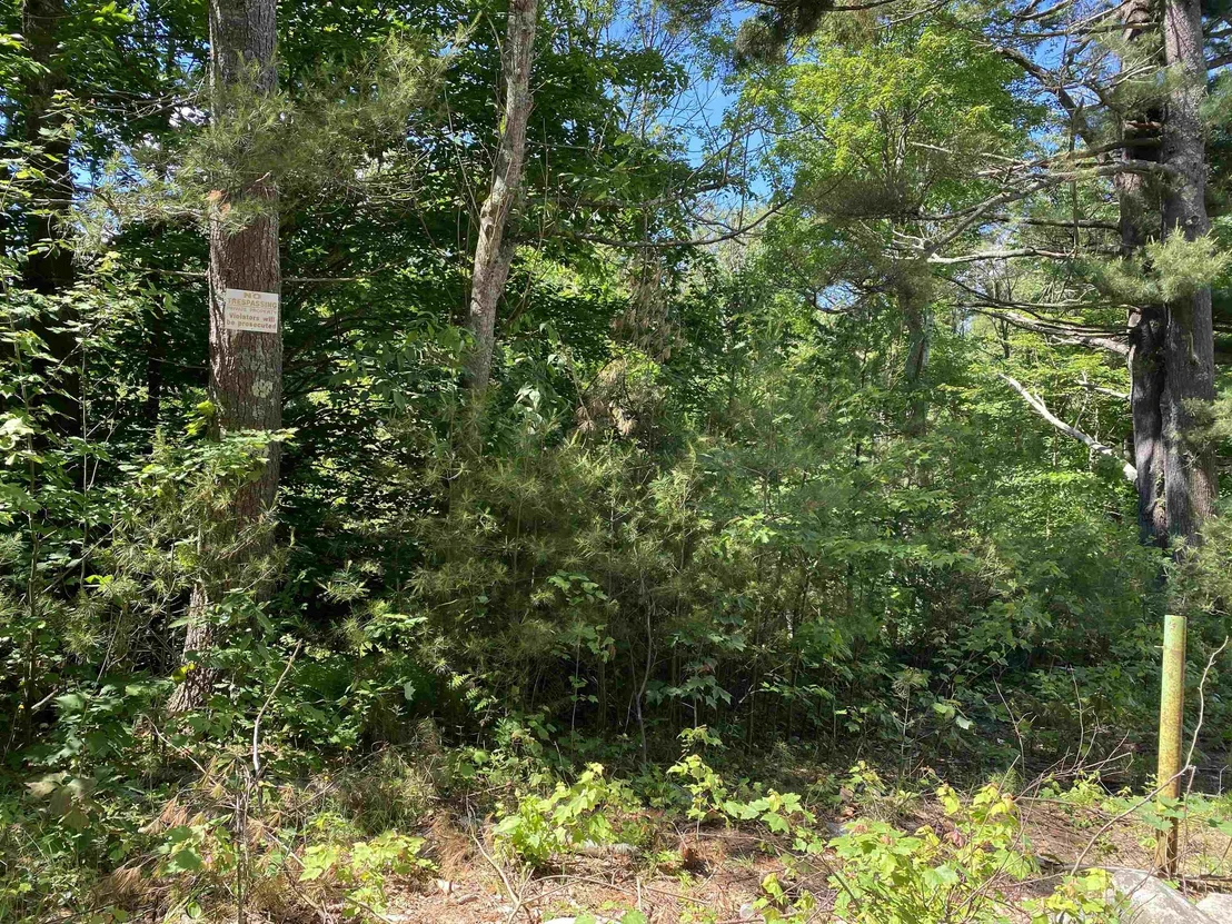 Photo of 18 Catamount