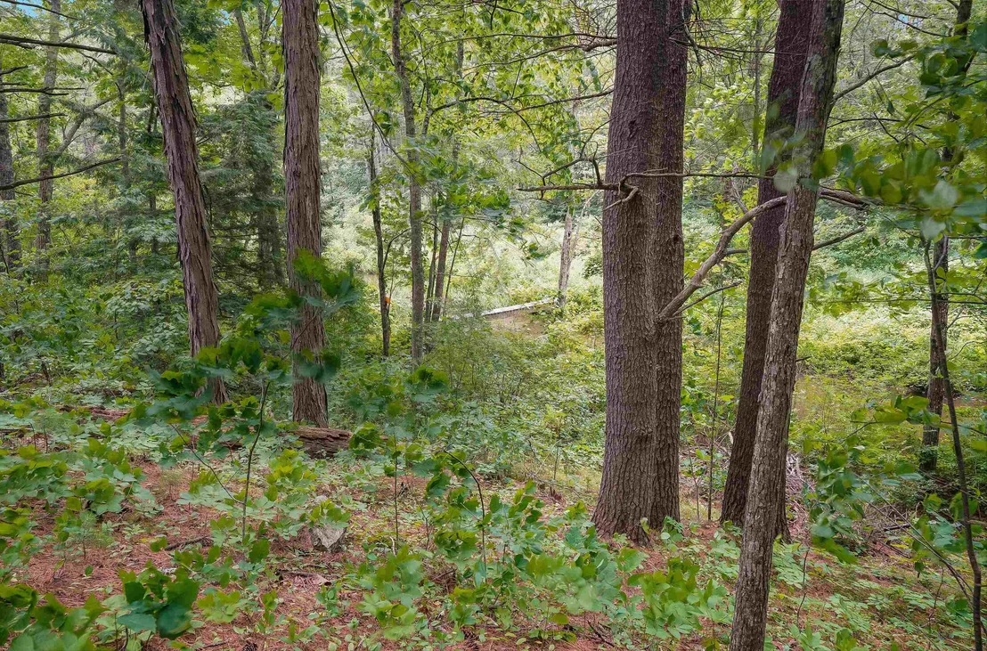 Photo of 221 Piscassic