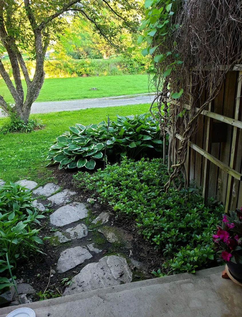 Photo of 289 Lamb Hill