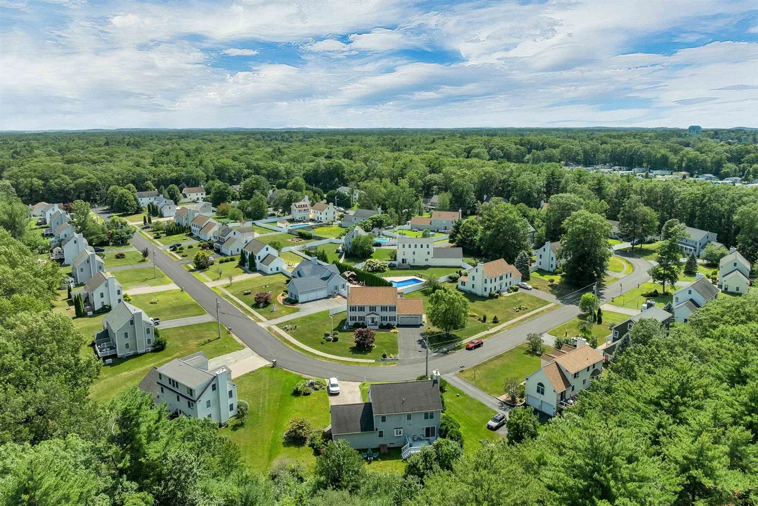 Photo of 41 Viola