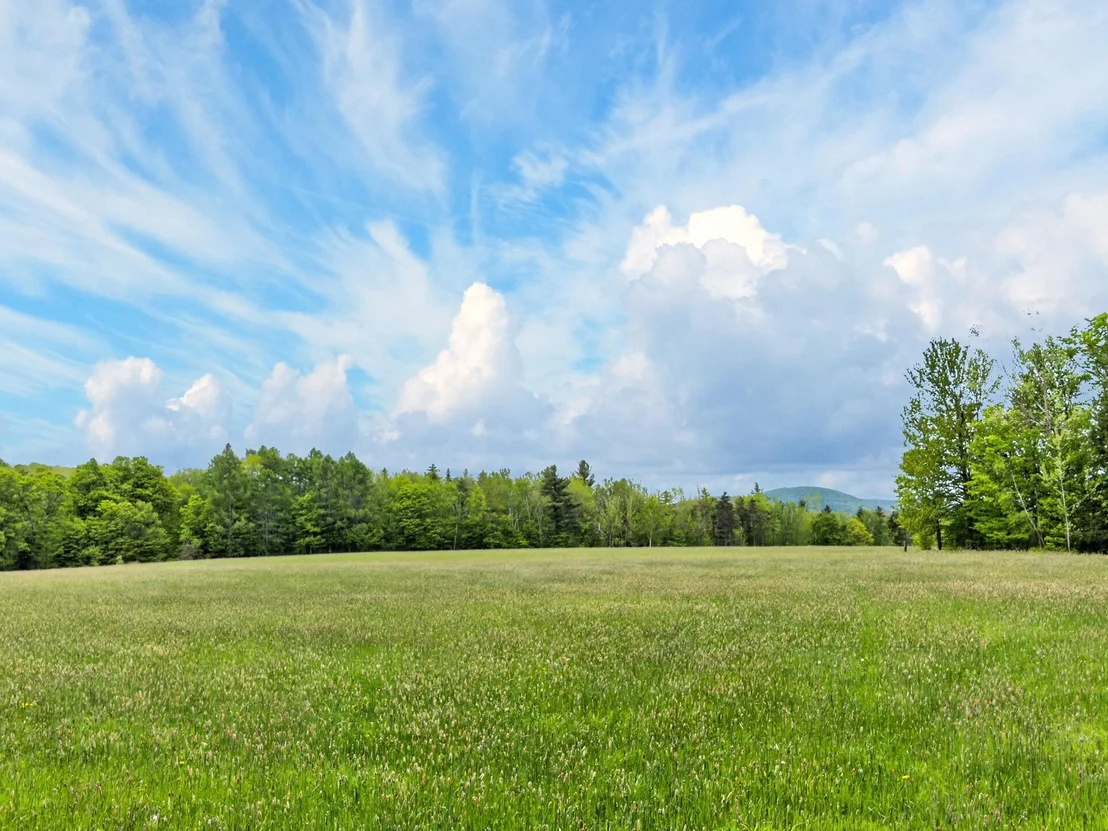 Photo of Lot 0 Saddada