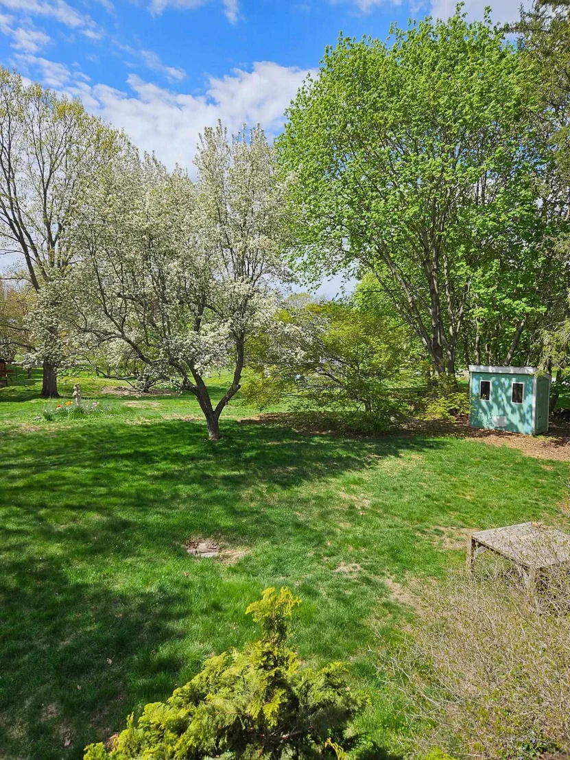 Photo of 2 Shirley