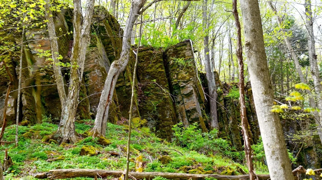 Photo of 302 Ledge Hill