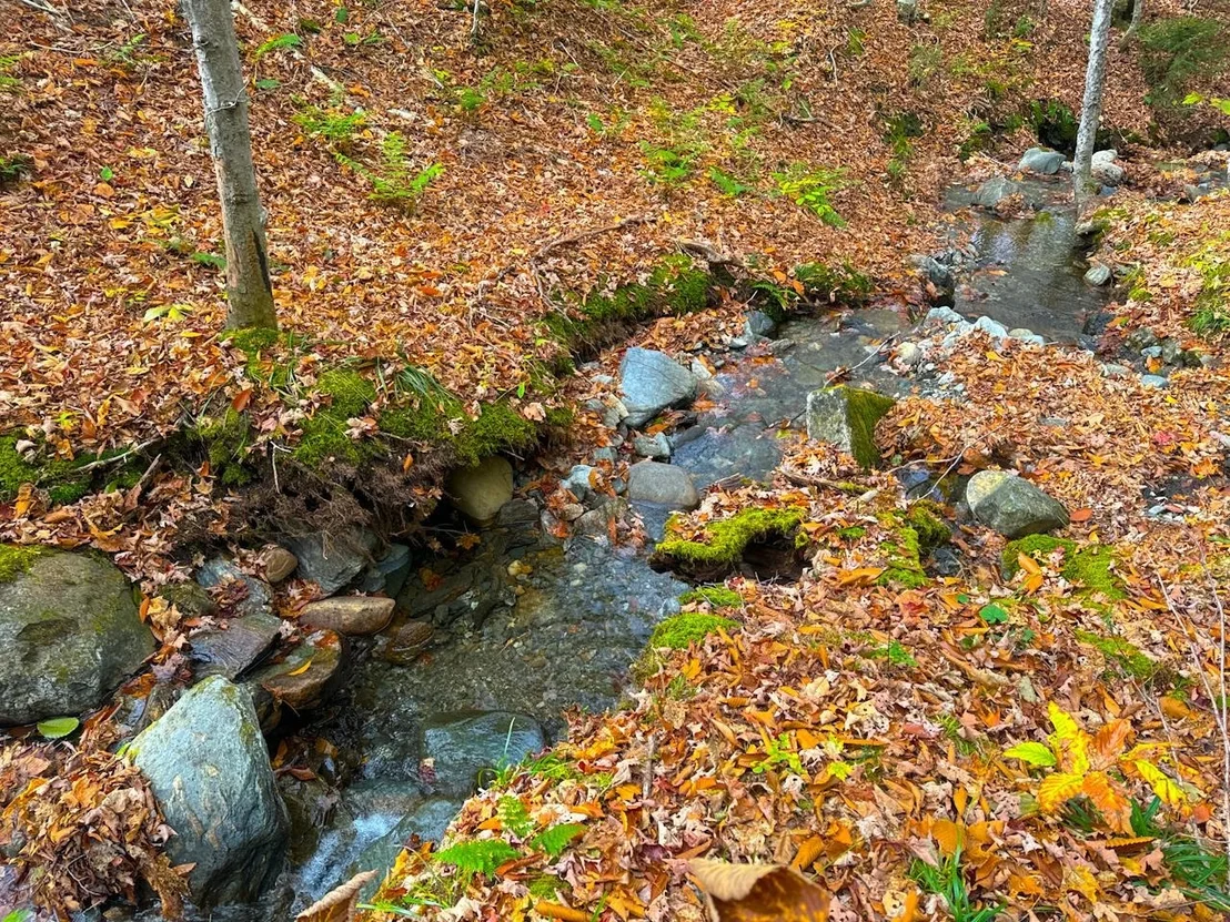 Photo of 0 Cider Mountain