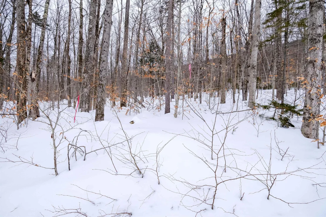 Photo of 0 Markham Mountain