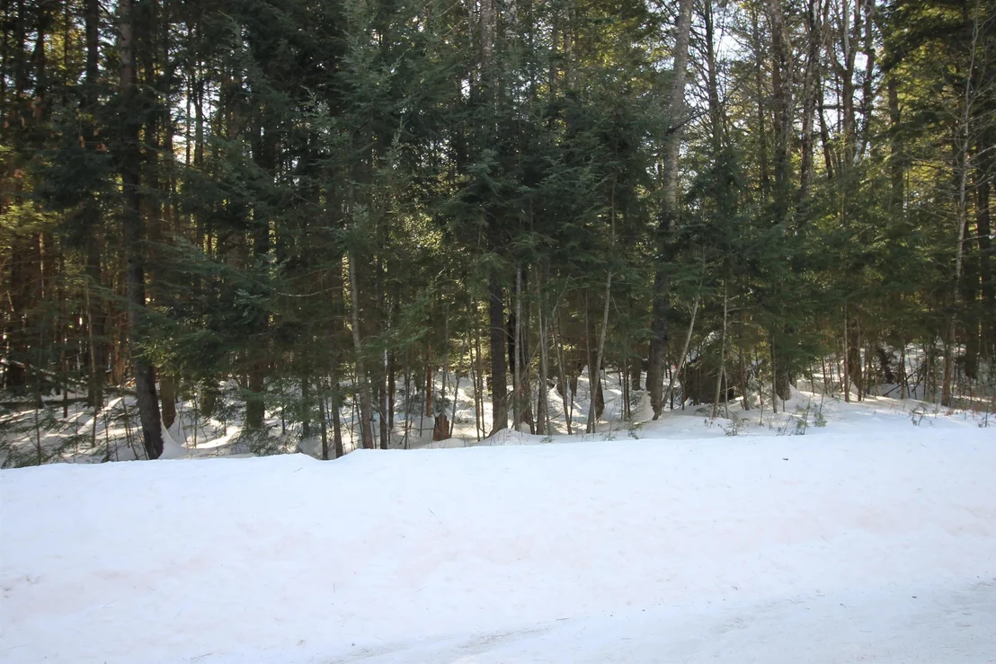 Photo of 00 Covered Bridge