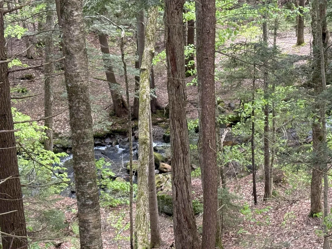 Photo of 87 Mirror Lake