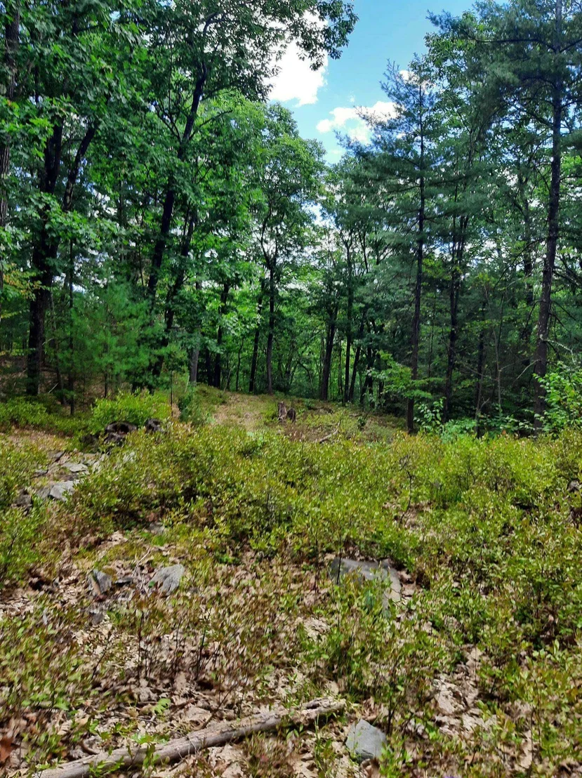 Photo of 319 River Road S