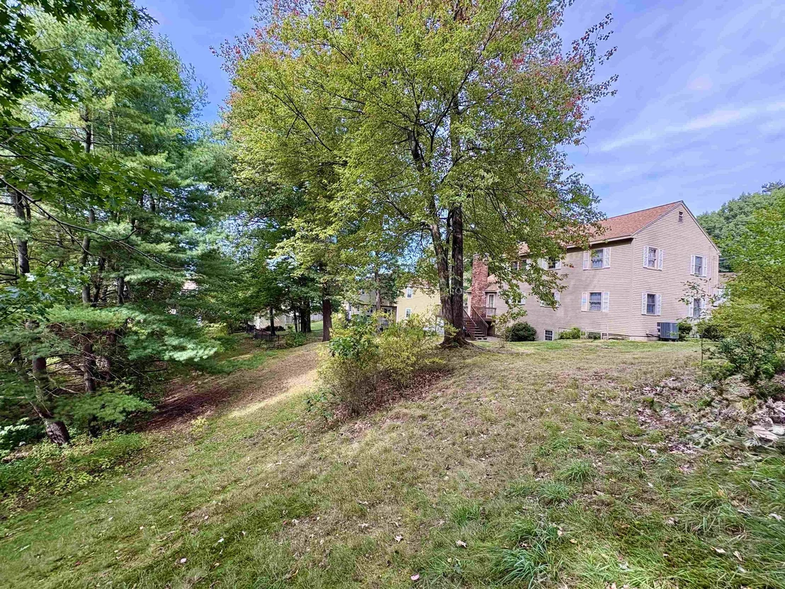 Photo of 15 Topaz