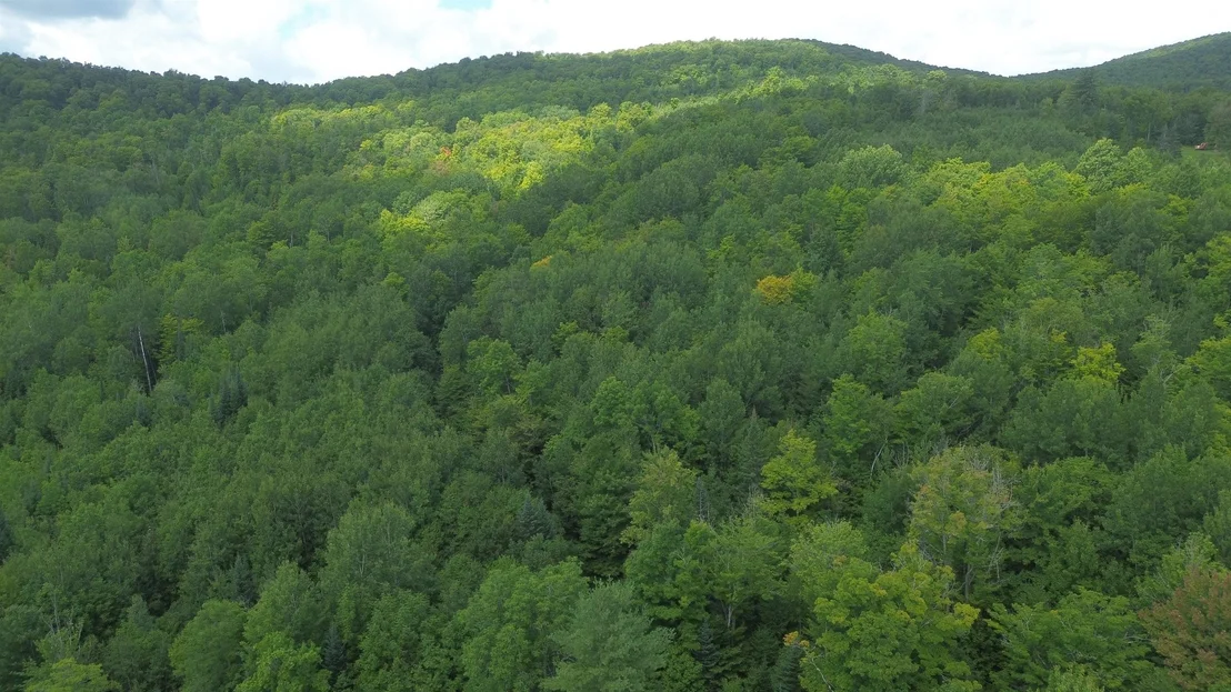Photo of 0 Old Pond Hill