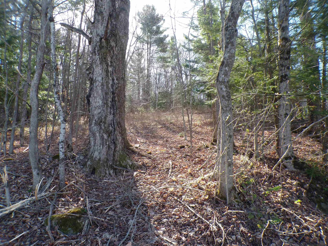 Photo of 440 Baird