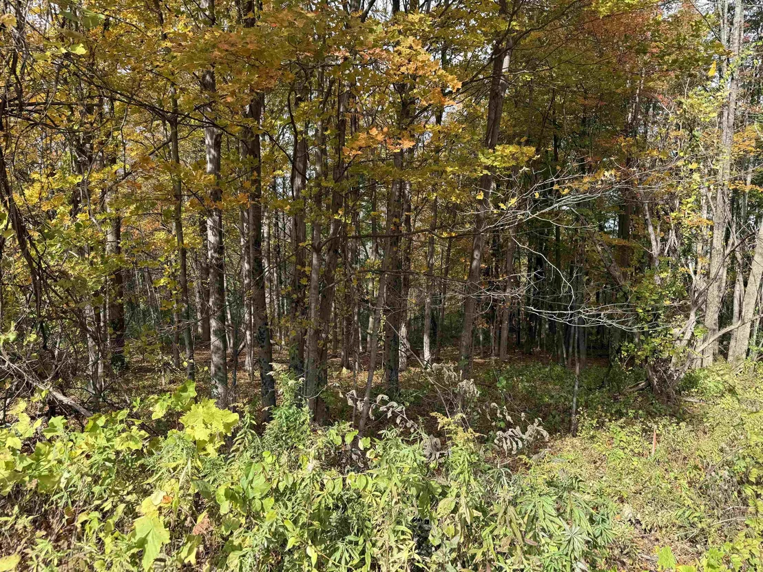 Photo of 0 Sunset Hill