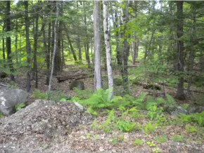 Photo of 93-1 Sleeper