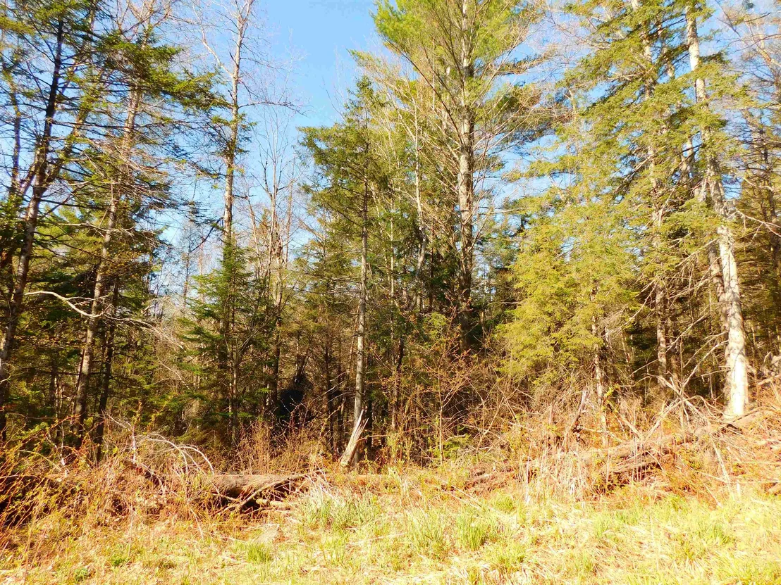 Photo of 0 Piper Hill