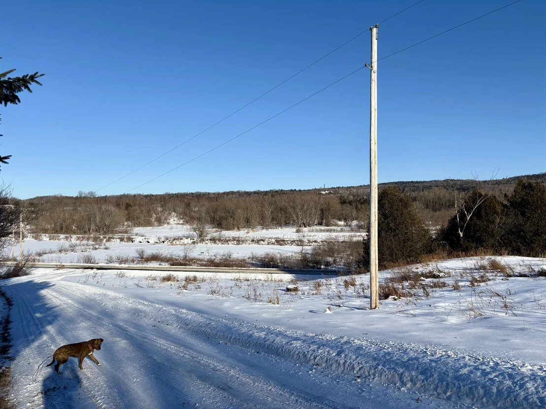 Photo of 1379 River