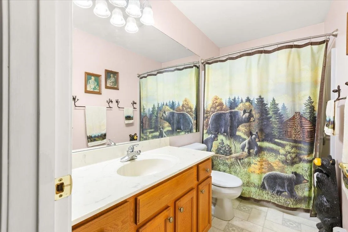 Photo of 548 Silver Pine