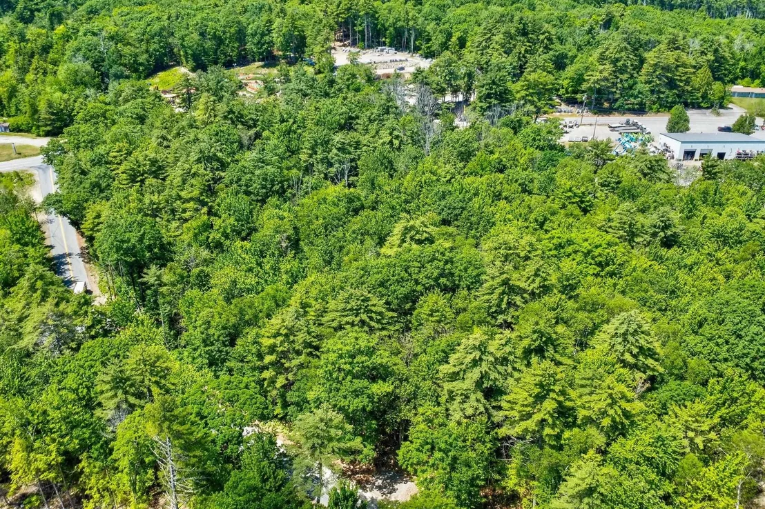 Photo of Lot 12-2 Needle Eye