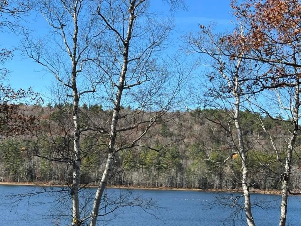 Photo of 215 Stocker Pond